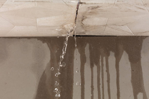 Professional Structural Drying technician working in Denton, TX